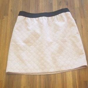 Ann Taylor LOFT petites Soft Pink Skirt Size 6P